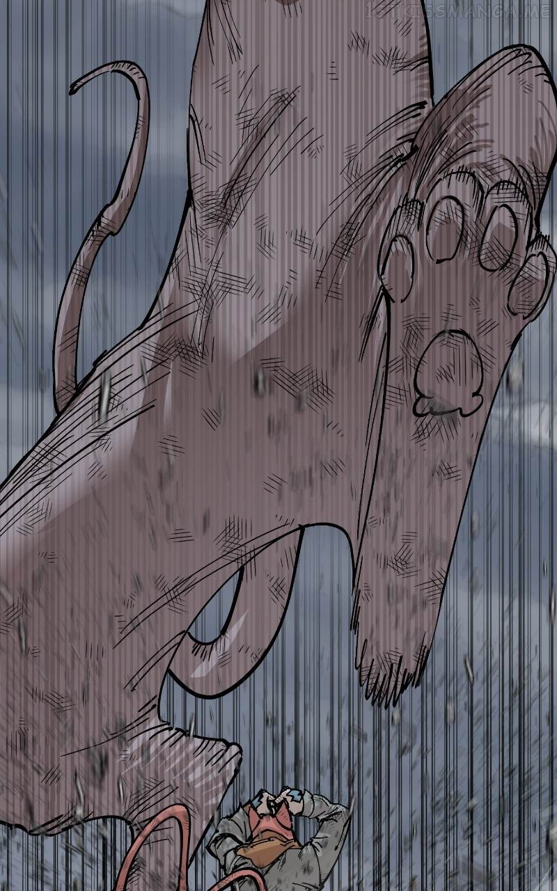 Read Meow Rangers Manga Online