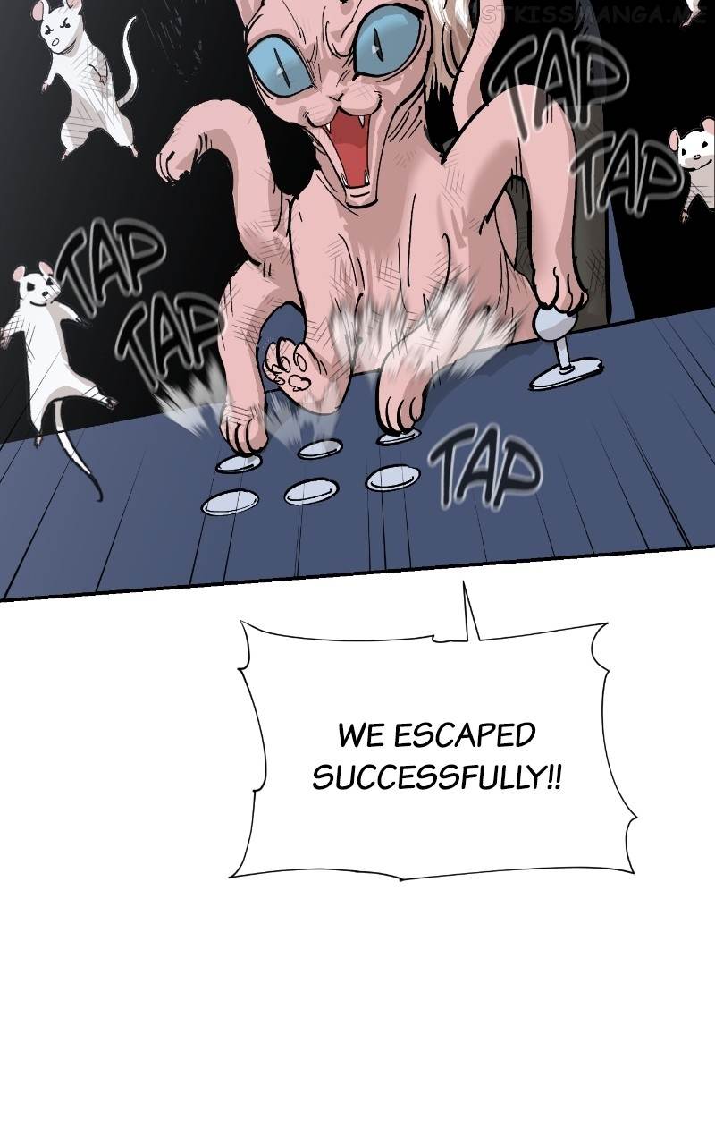 Read Meow Rangers Manga Online