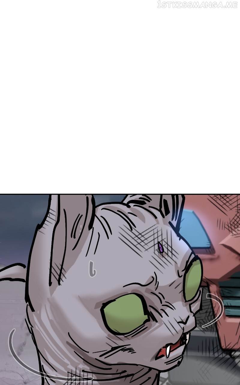 Read Meow Rangers Manga Online