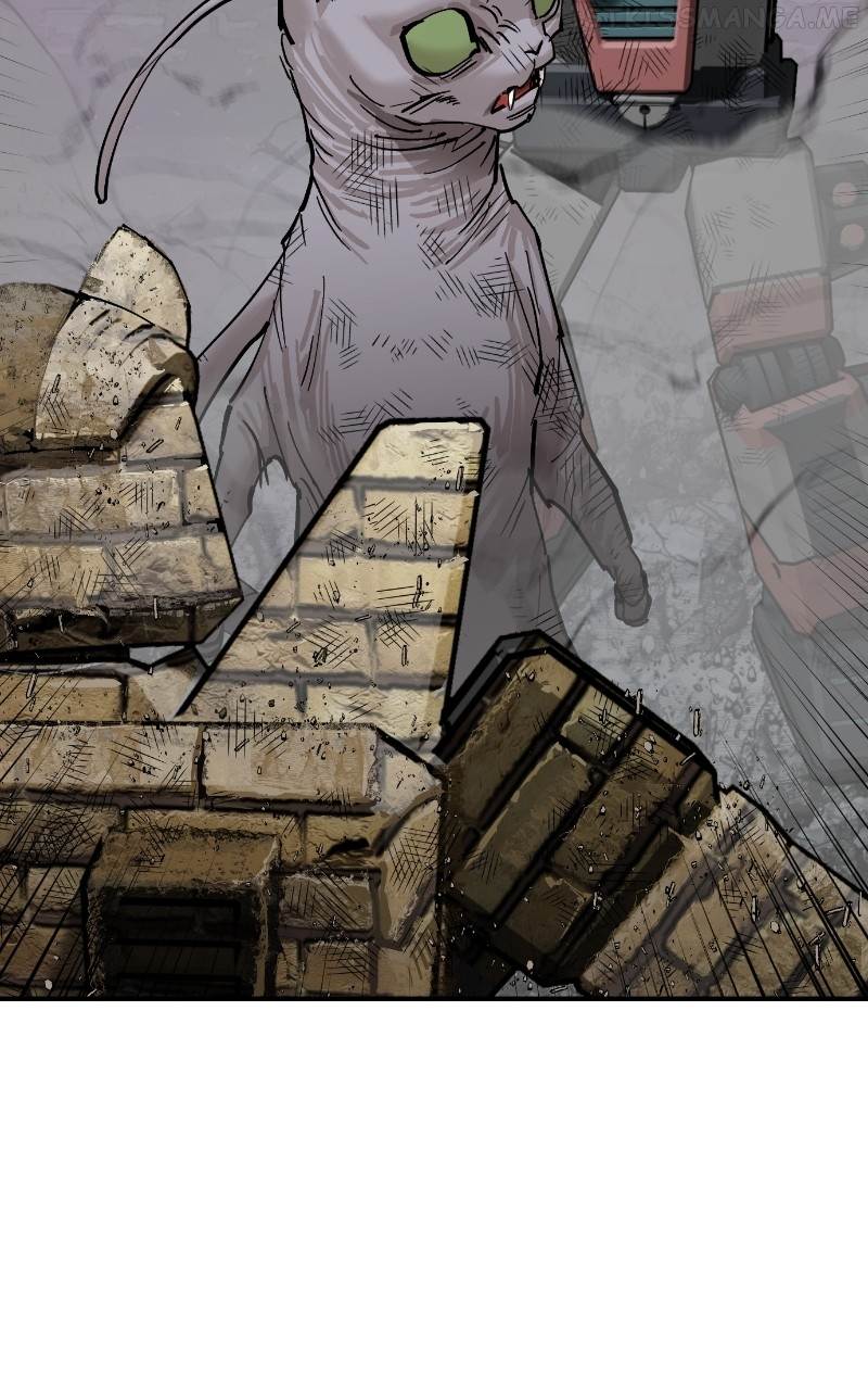 Read Meow Rangers Manga Online