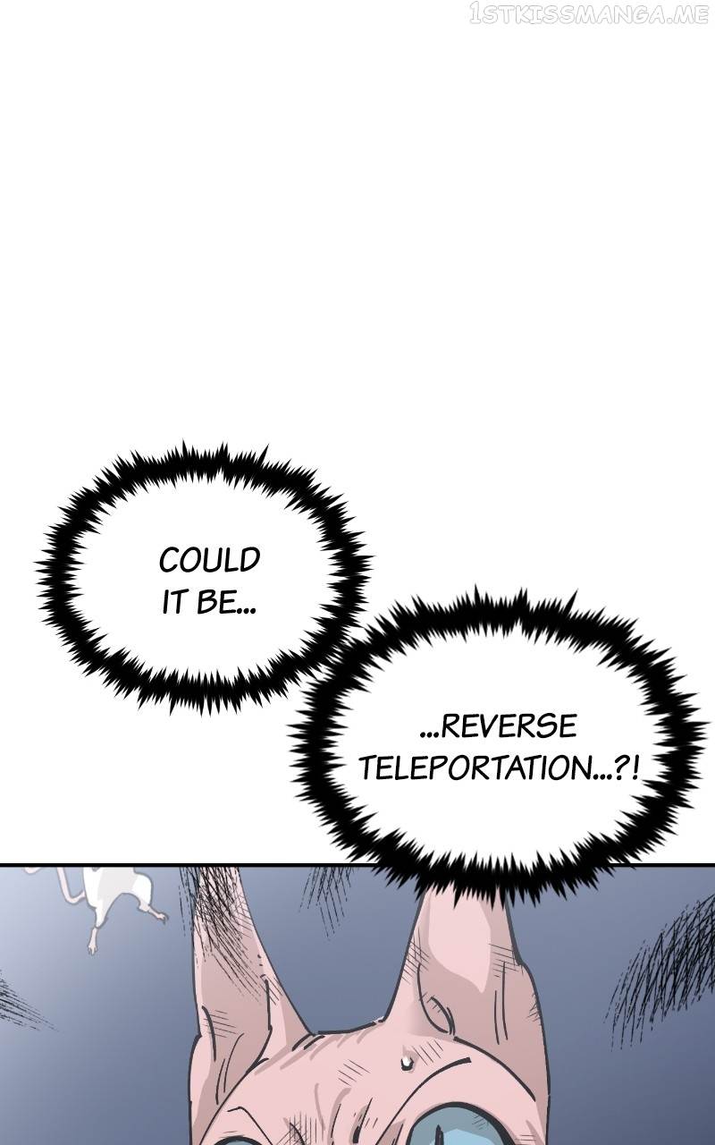 Read Meow Rangers Manga Online