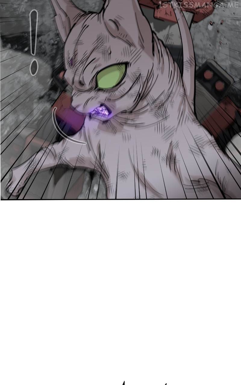 Read Meow Rangers Manga Online