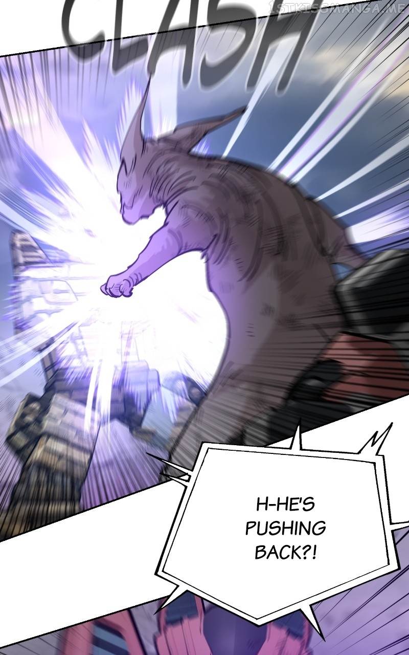 Read Meow Rangers Manga Online