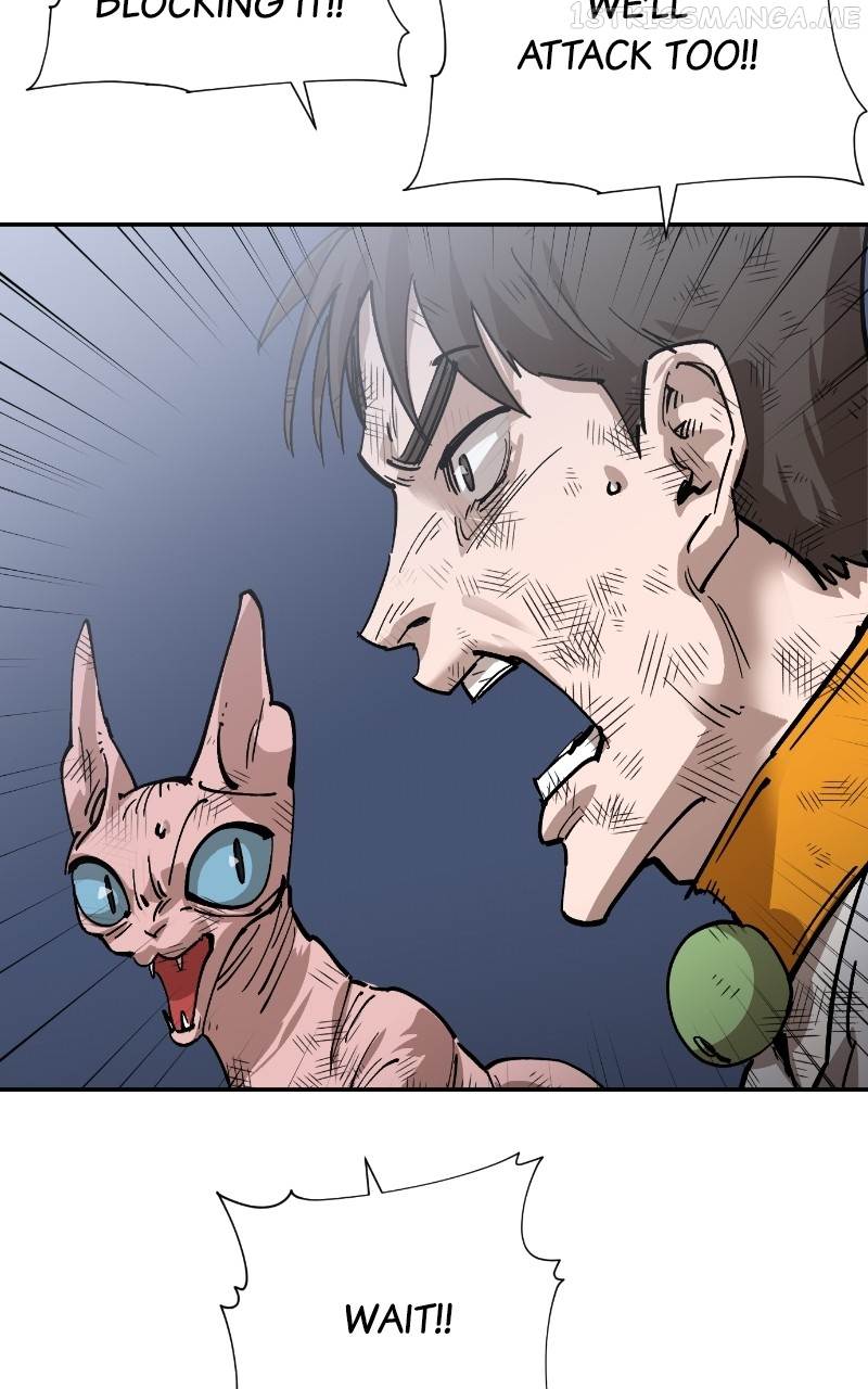 Read Meow Rangers Manga Online