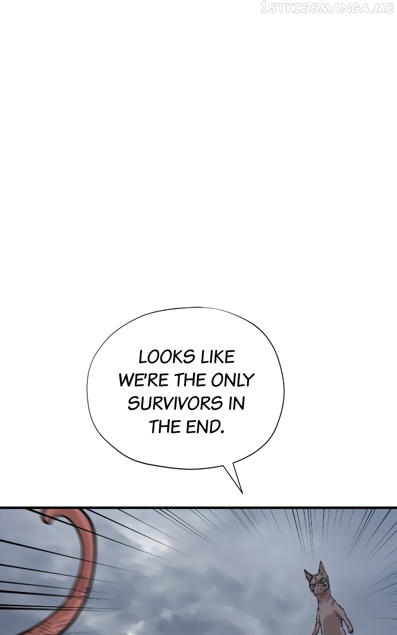 Read Meow Rangers Manga Online