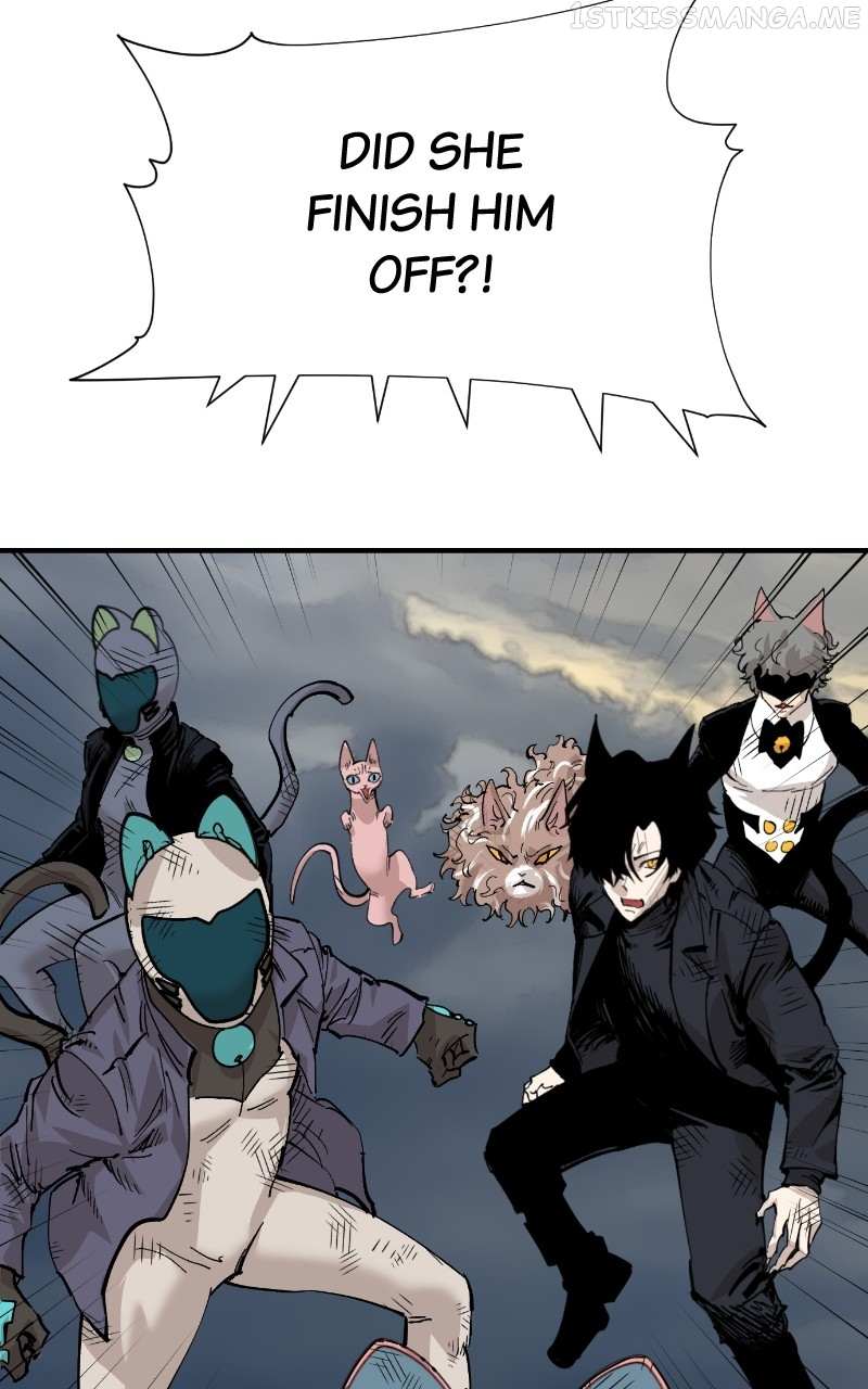 Read Meow Rangers Manga Online