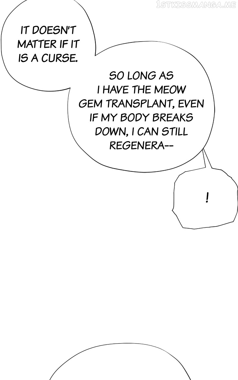 Read Meow Rangers Manga Online