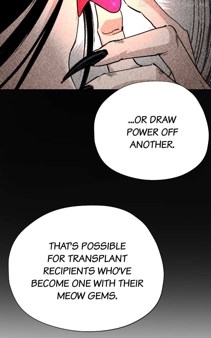 Read Meow Rangers Manga Online