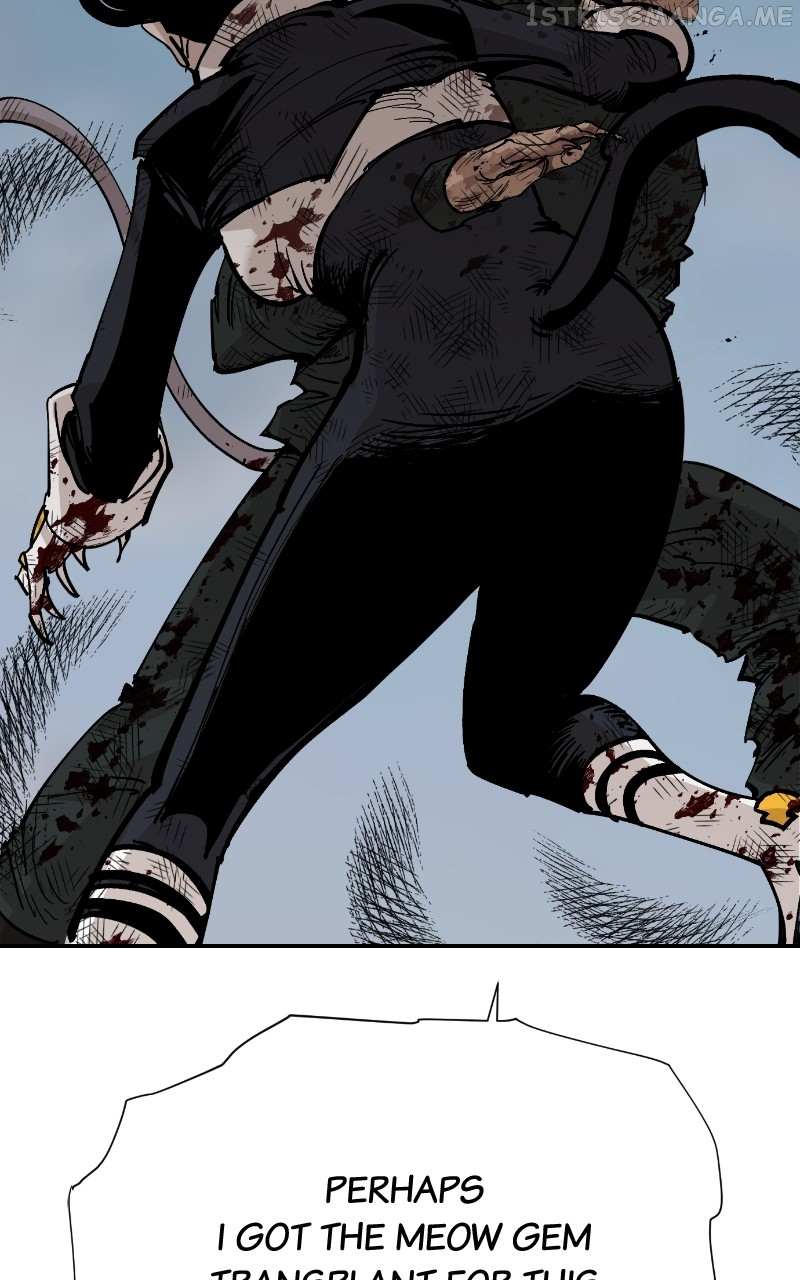 Read Meow Rangers Manga Online