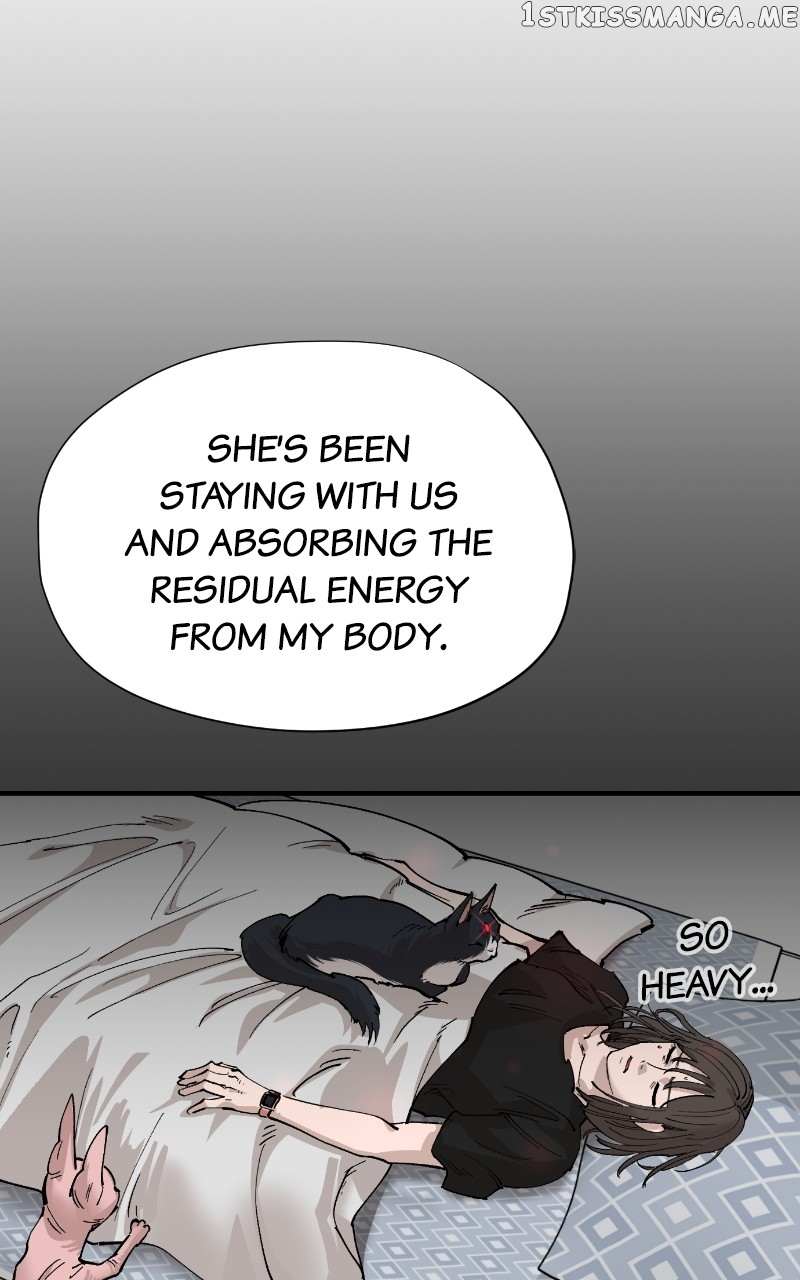 Read Meow Rangers Manga Online