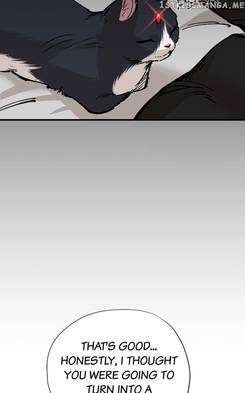 Read Meow Rangers Manga Online