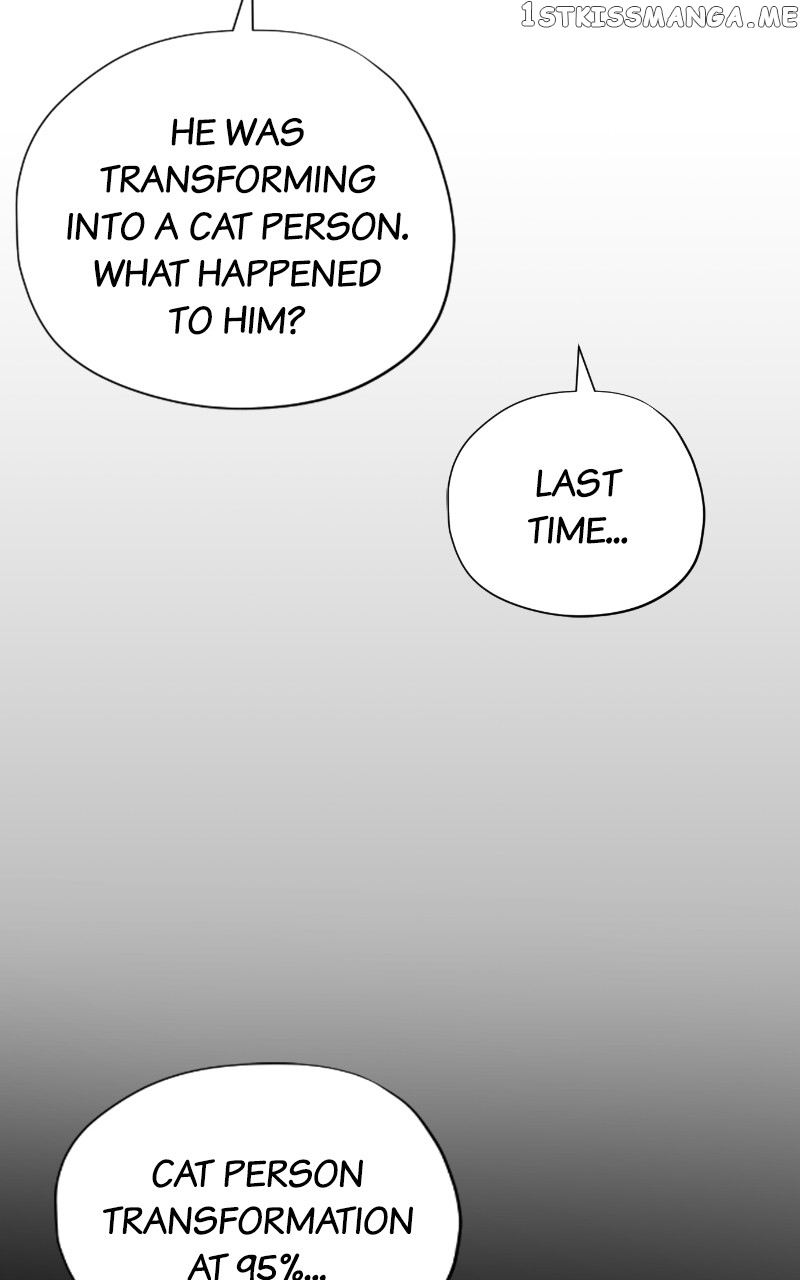 Read Meow Rangers Manga Online