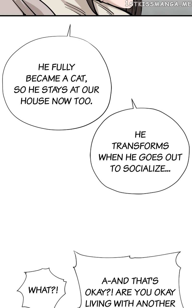 Read Meow Rangers Manga Online