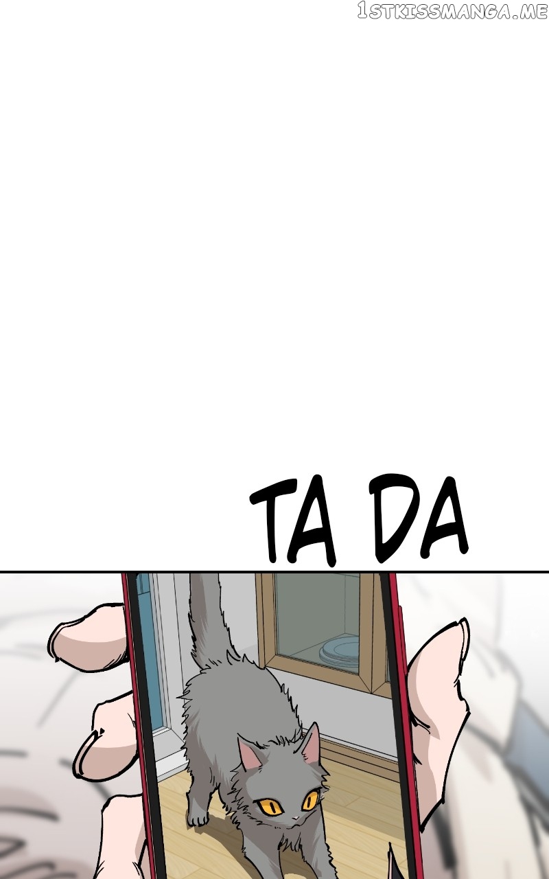 Read Meow Rangers Manga Online