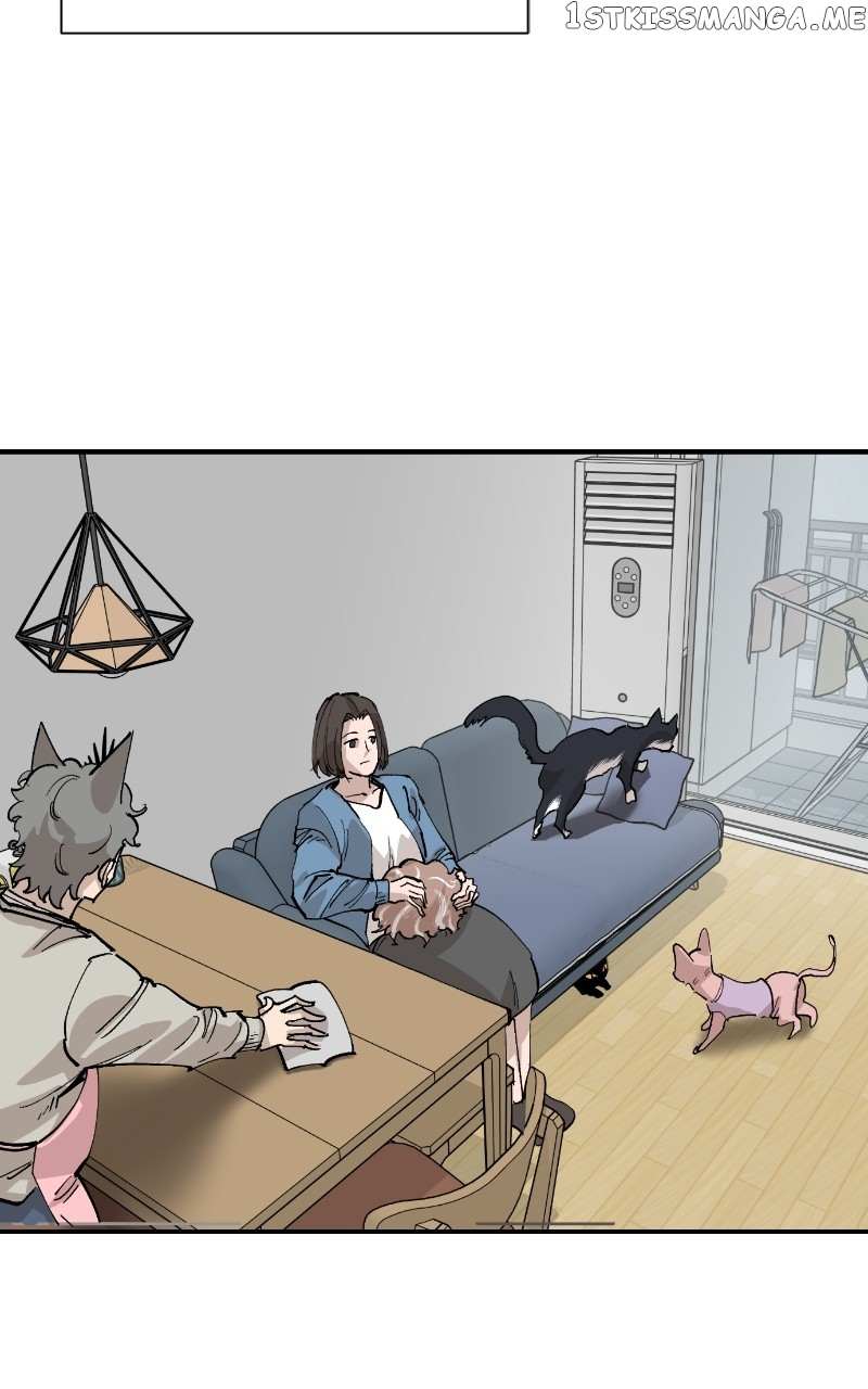 Read Meow Rangers Manga Online