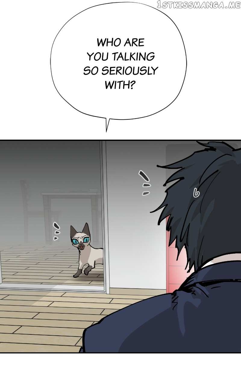 Read Meow Rangers Manga Online