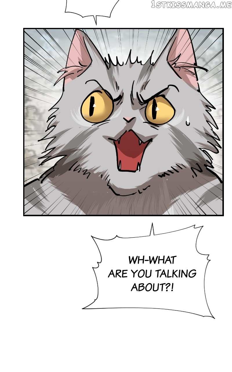 Read Meow Rangers Manga Online