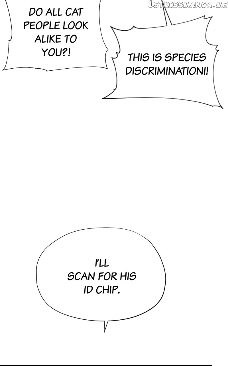 Read Meow Rangers Manga Online