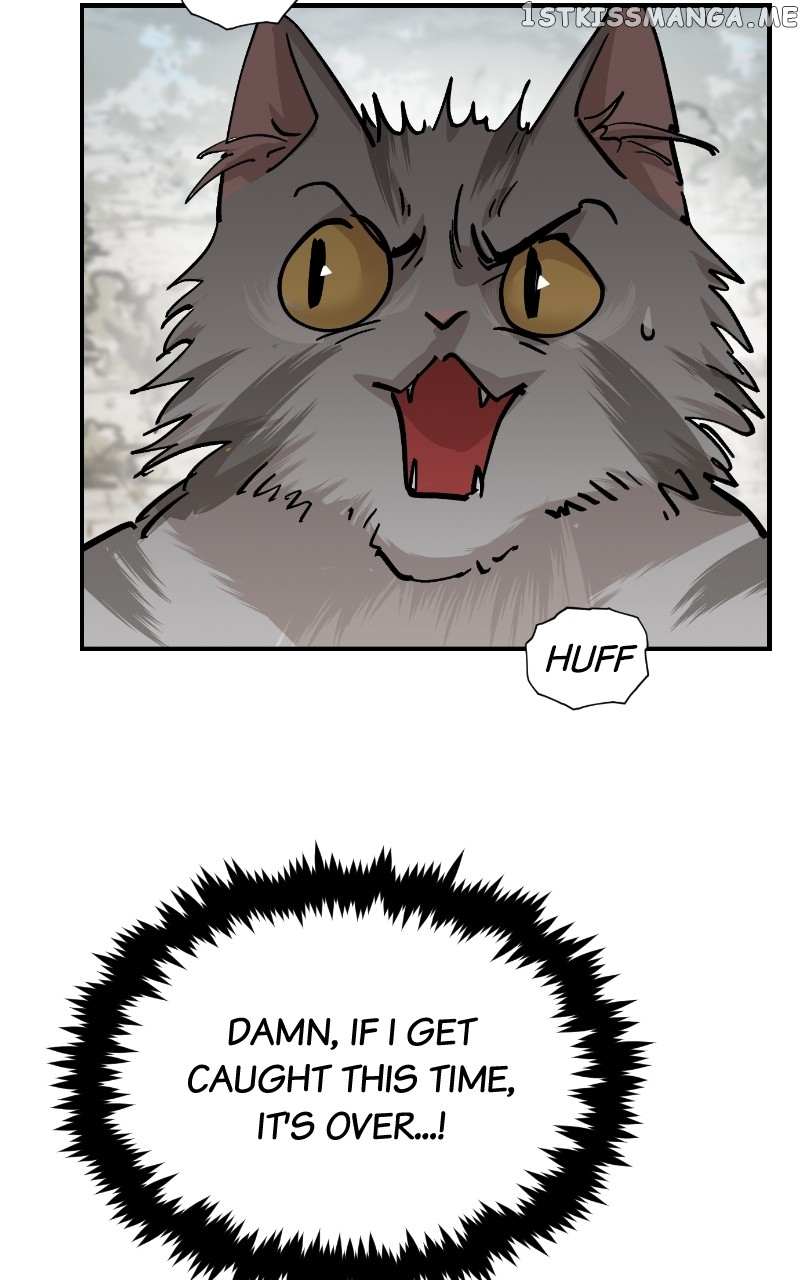 Read Meow Rangers Manga Online