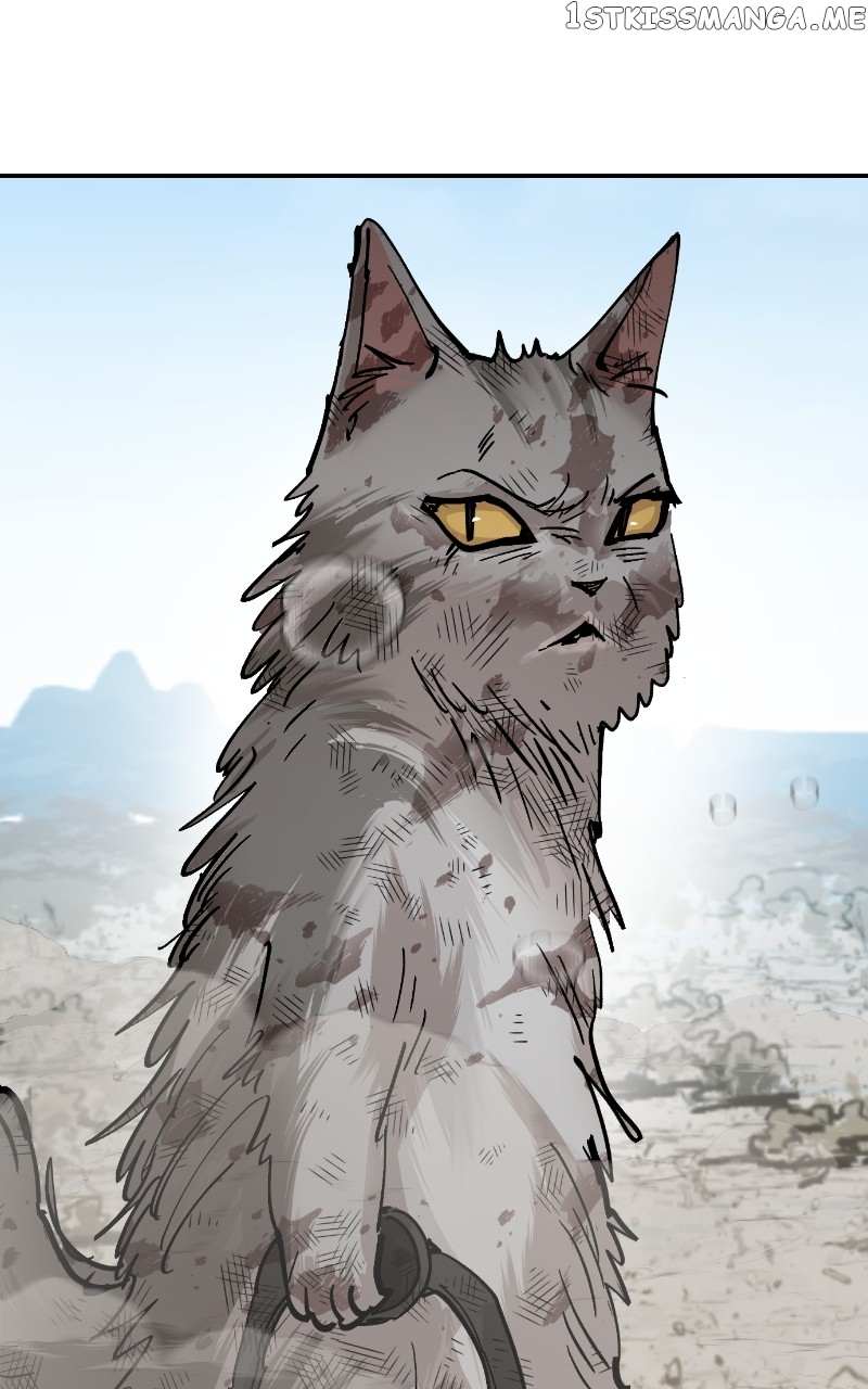 Read Meow Rangers Manga Online