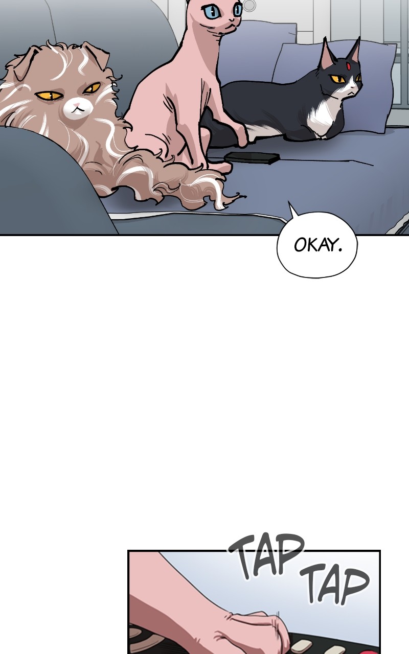 Read Meow Rangers Manga Online