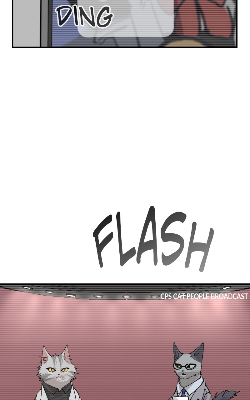 Read Meow Rangers Manga Online