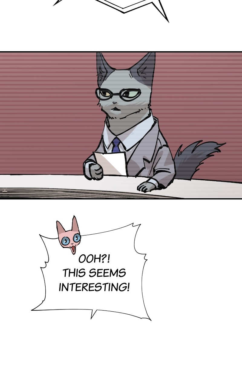 Read Meow Rangers Manga Online