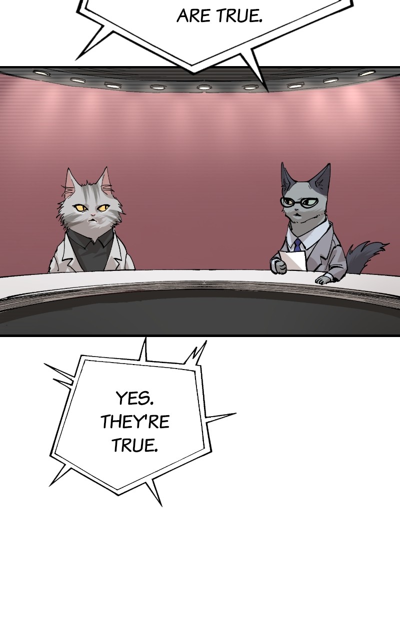 Read Meow Rangers Manga Online