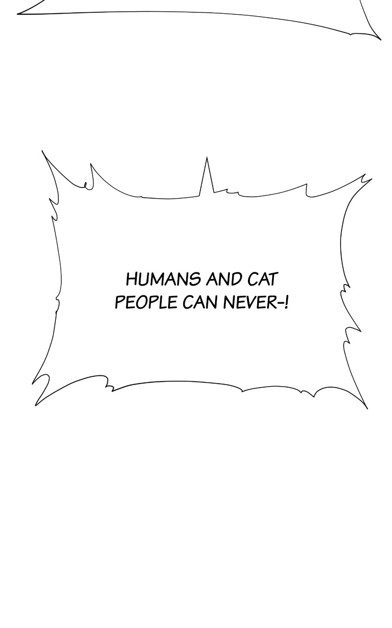 Read Meow Rangers Manga Online