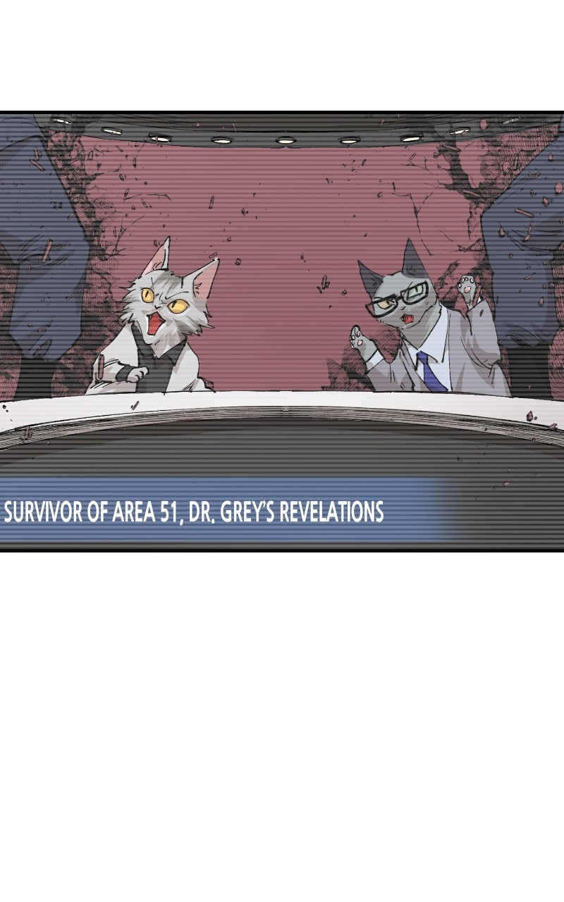 Read Meow Rangers Manga Online