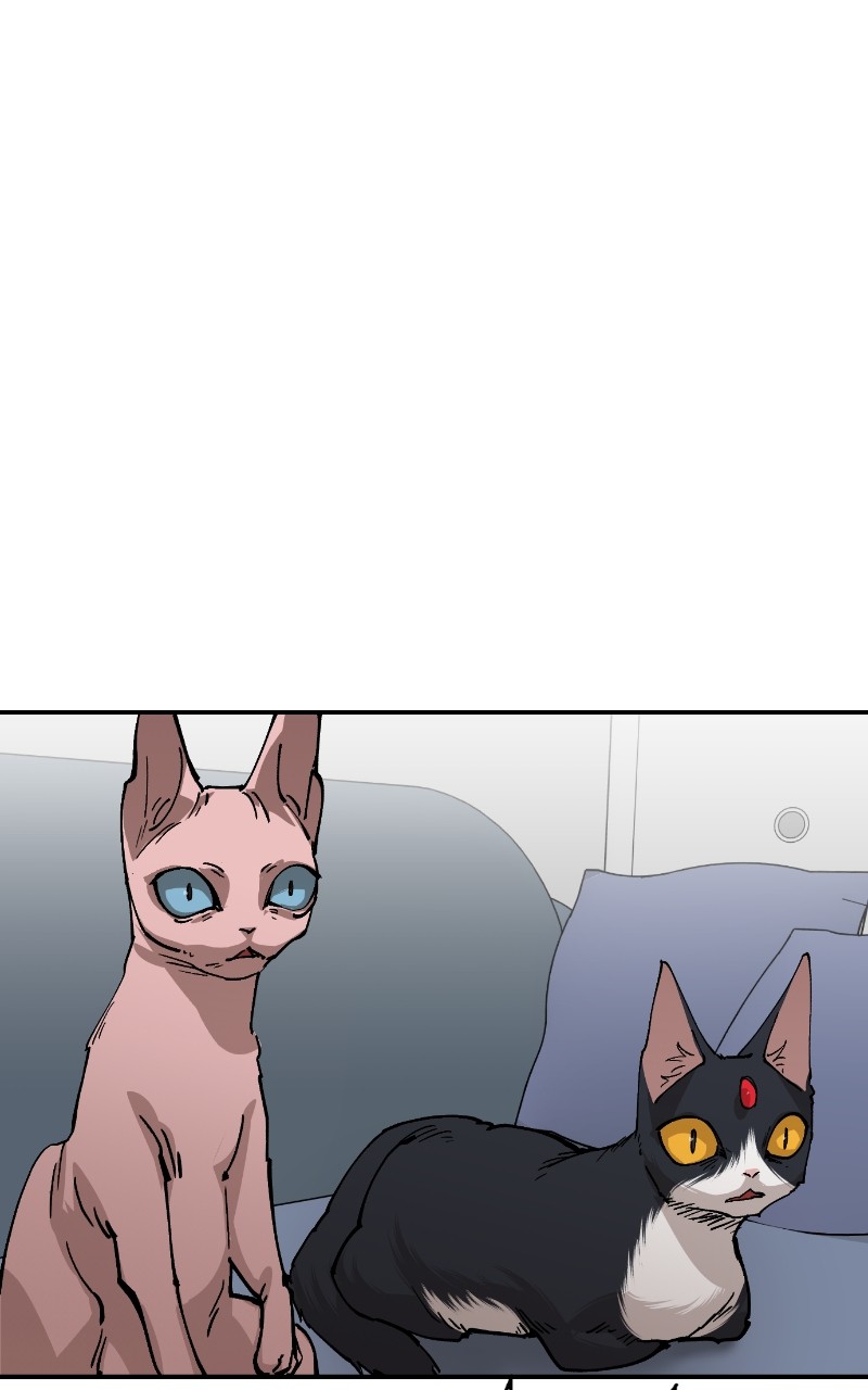 Read Meow Rangers Manga Online