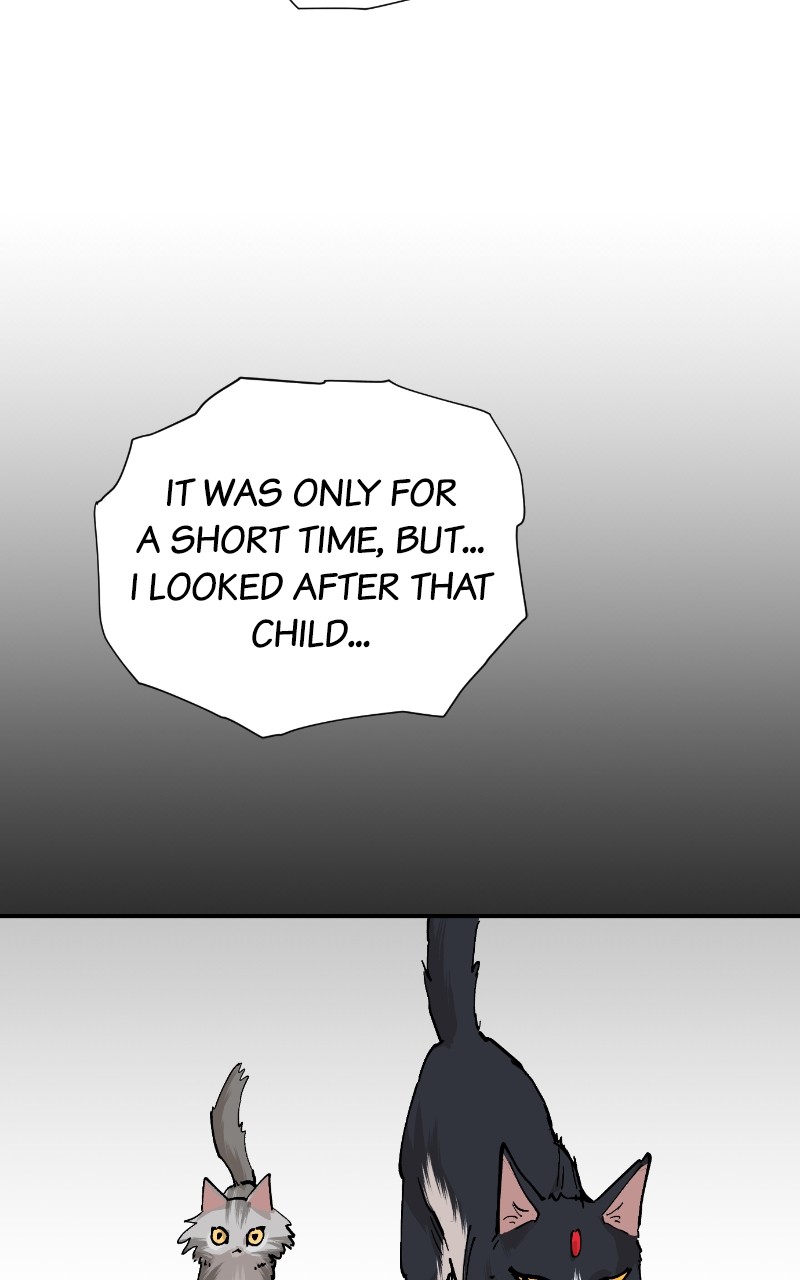 Read Meow Rangers Manga Online