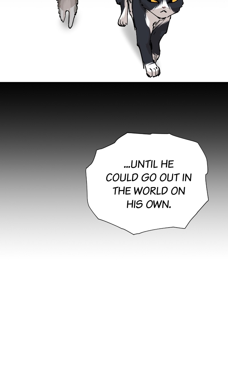 Read Meow Rangers Manga Online