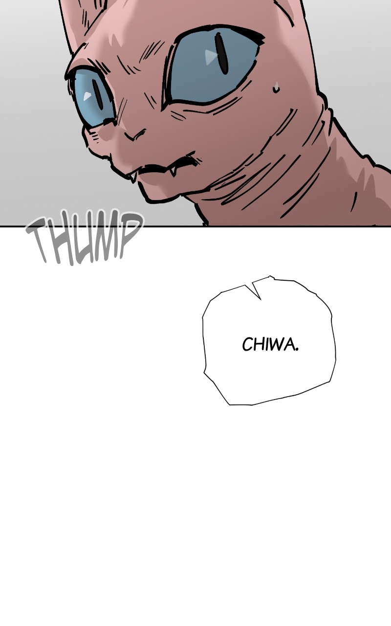 Read Meow Rangers Manga Online