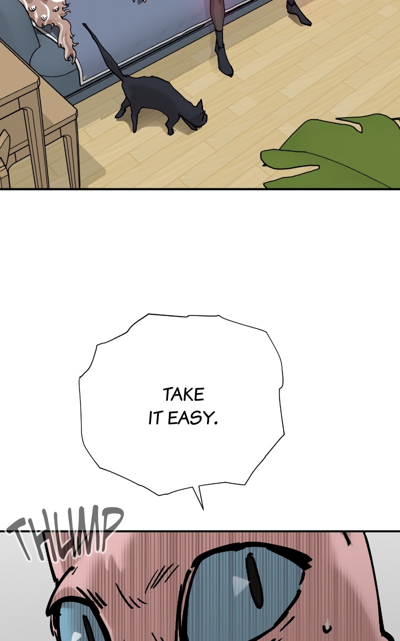 Read Meow Rangers Manga Online