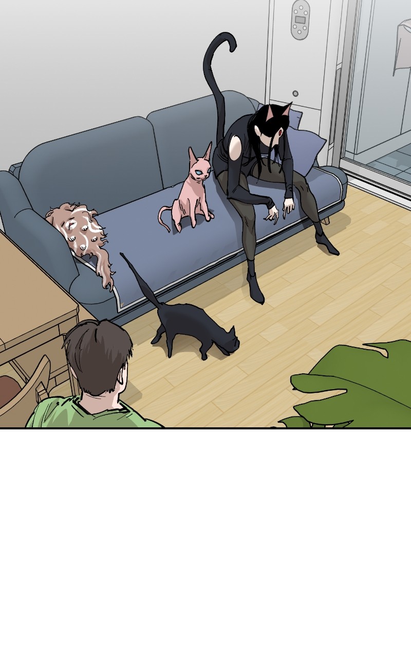 Read Meow Rangers Manga Online