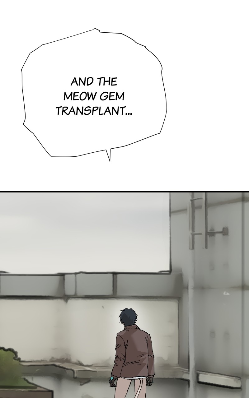 Read Meow Rangers Manga Online