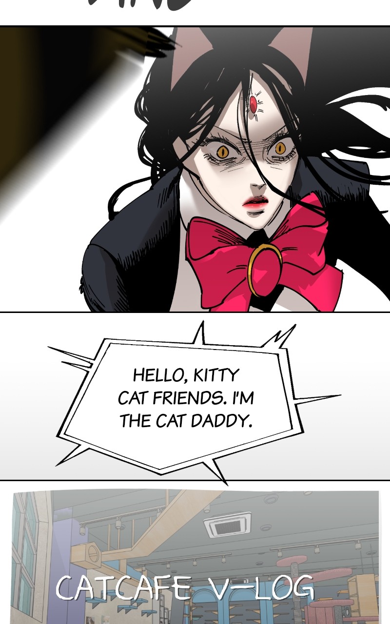 Read Meow Rangers Manga Online