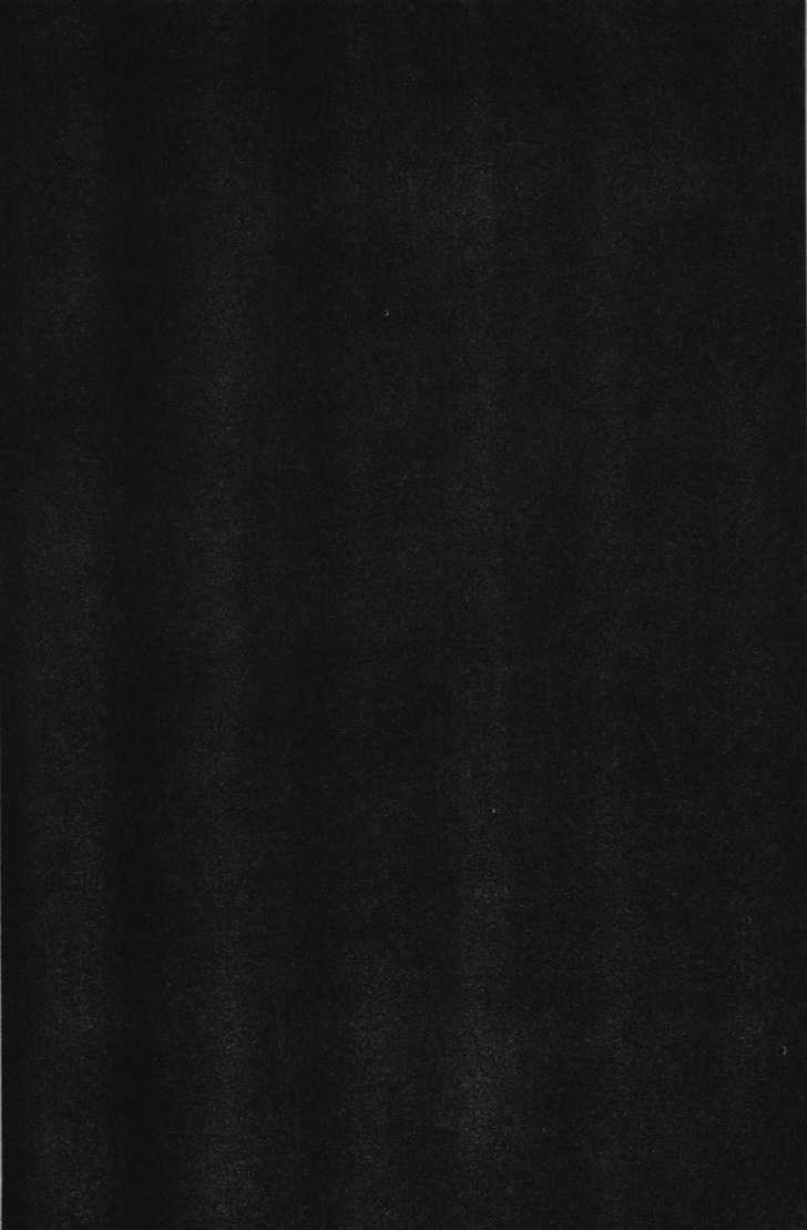 Read Mirai Nikki (en) Manga Online