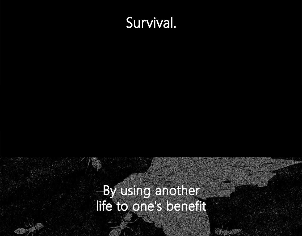 Read Mosquito War (en) Manga Online