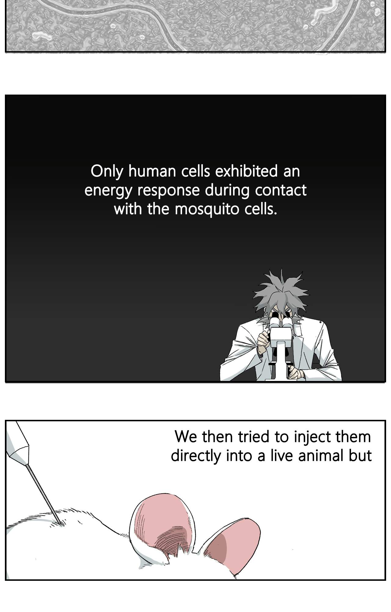 Read Mosquito War (en) Manga Online