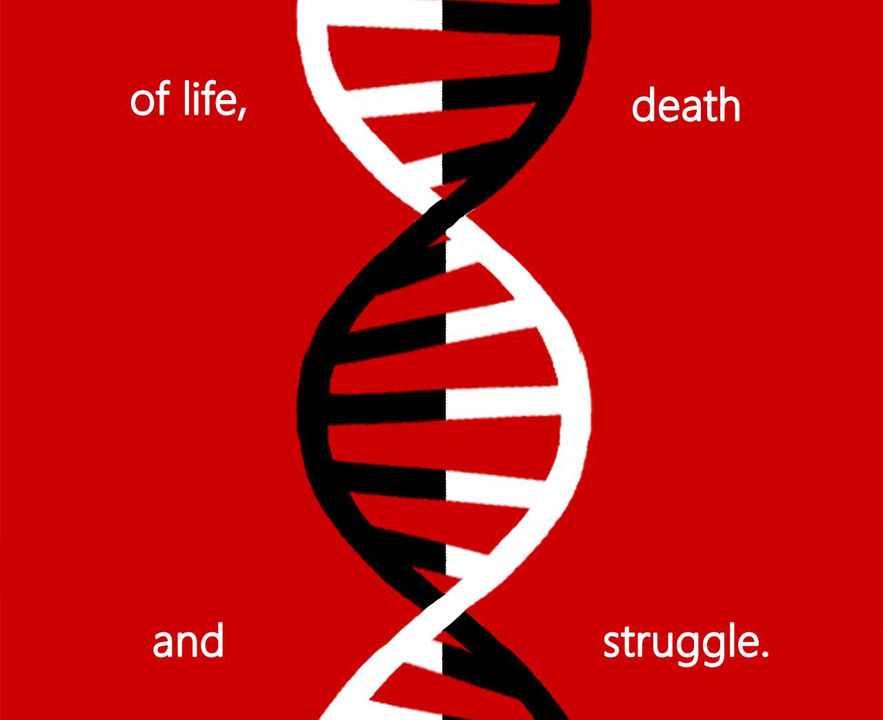 Read Mosquito War (en) Manga Online