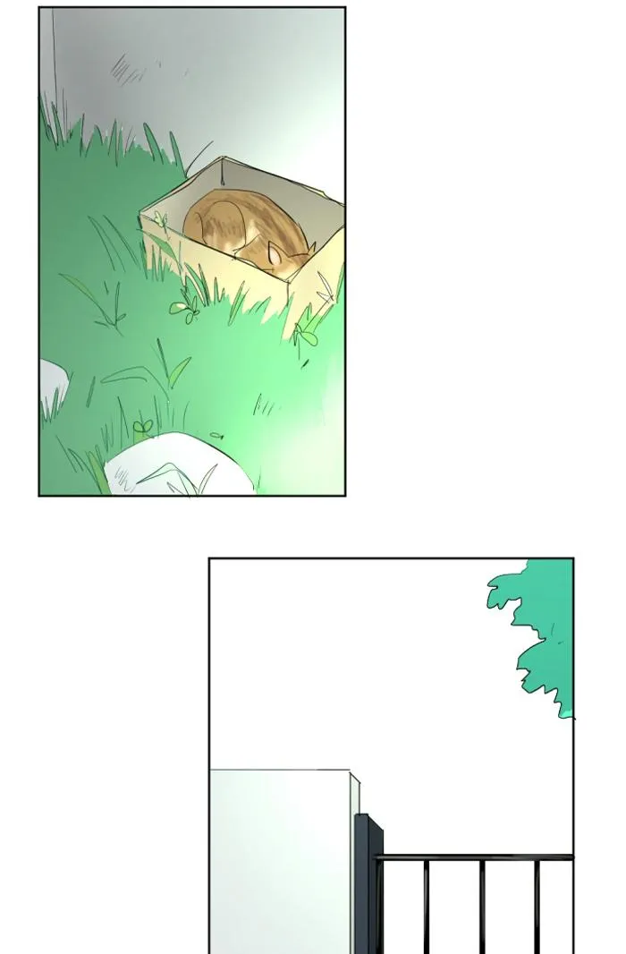 Read My Boo (en) Manga Online