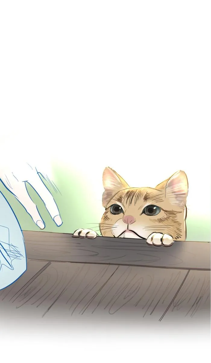 Read My Boo (en) Manga Online