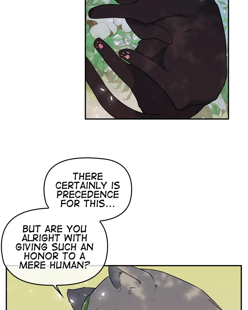 Read My Gently Raised Beast (en) Manga Online