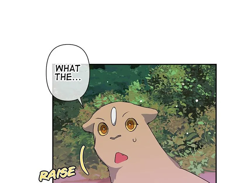 Read My Gently Raised Beast (en) Manga Online