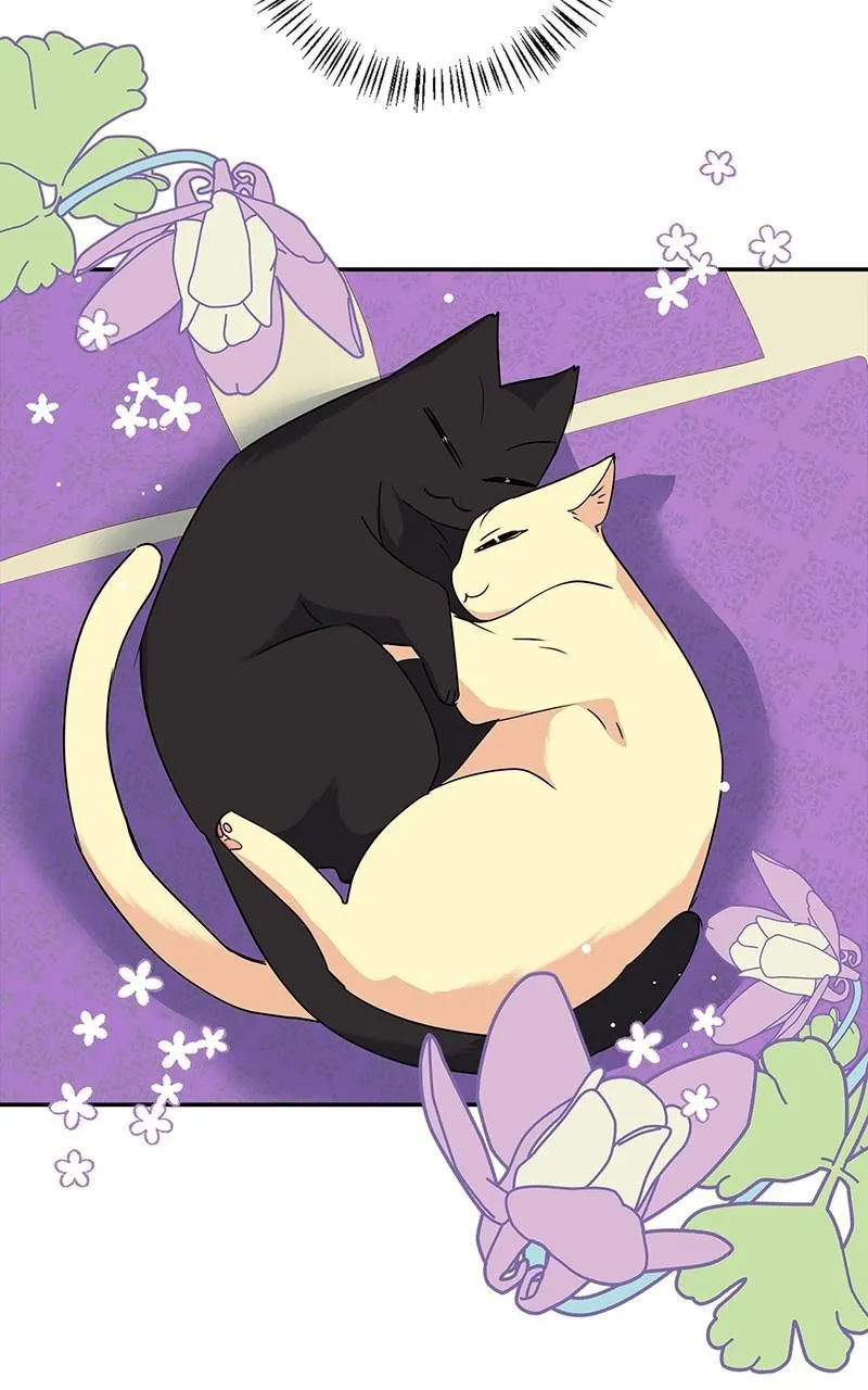 Read My Gently Raised Beast (en) Manga Online