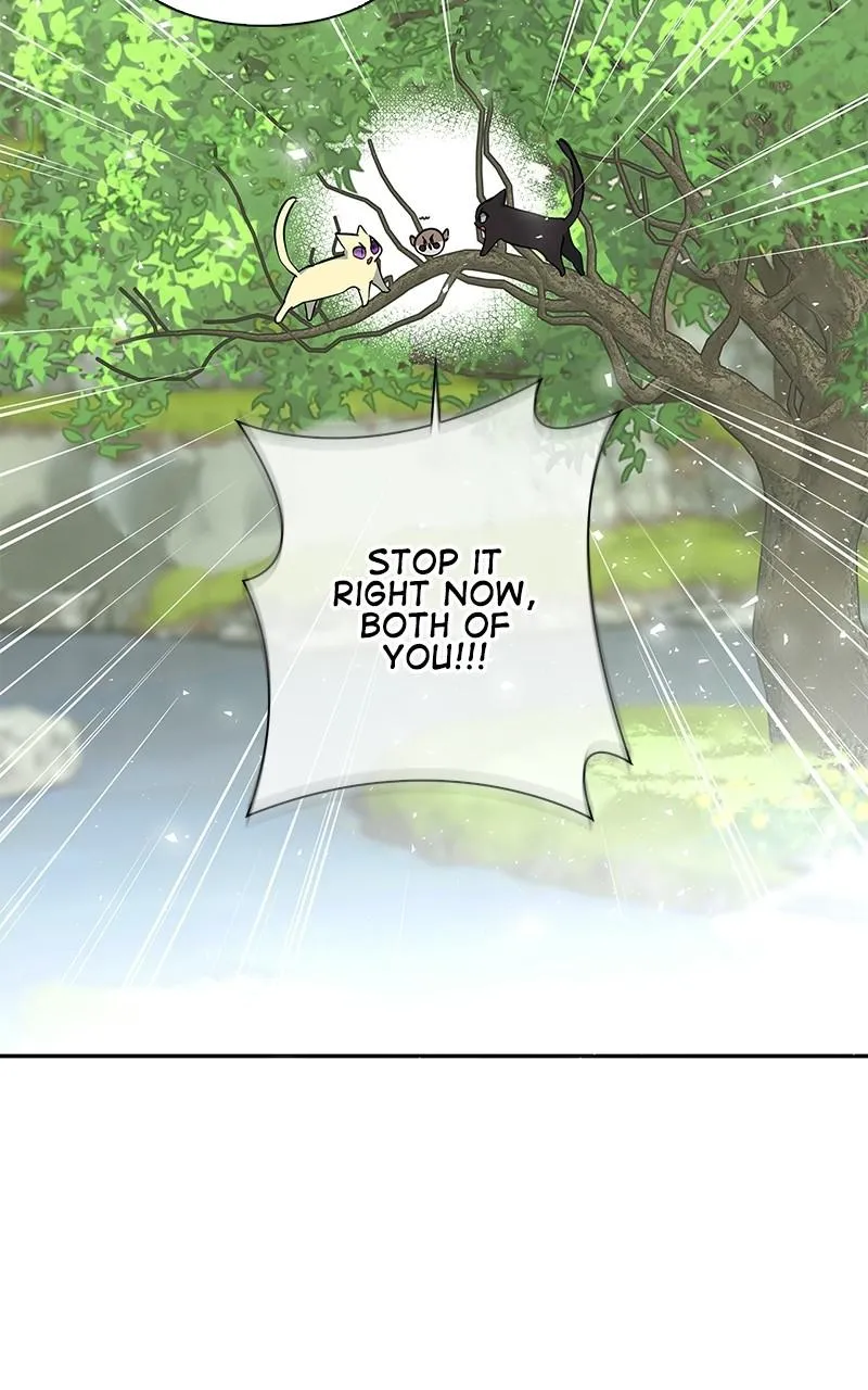 Read My Gently Raised Beast (en) Manga Online