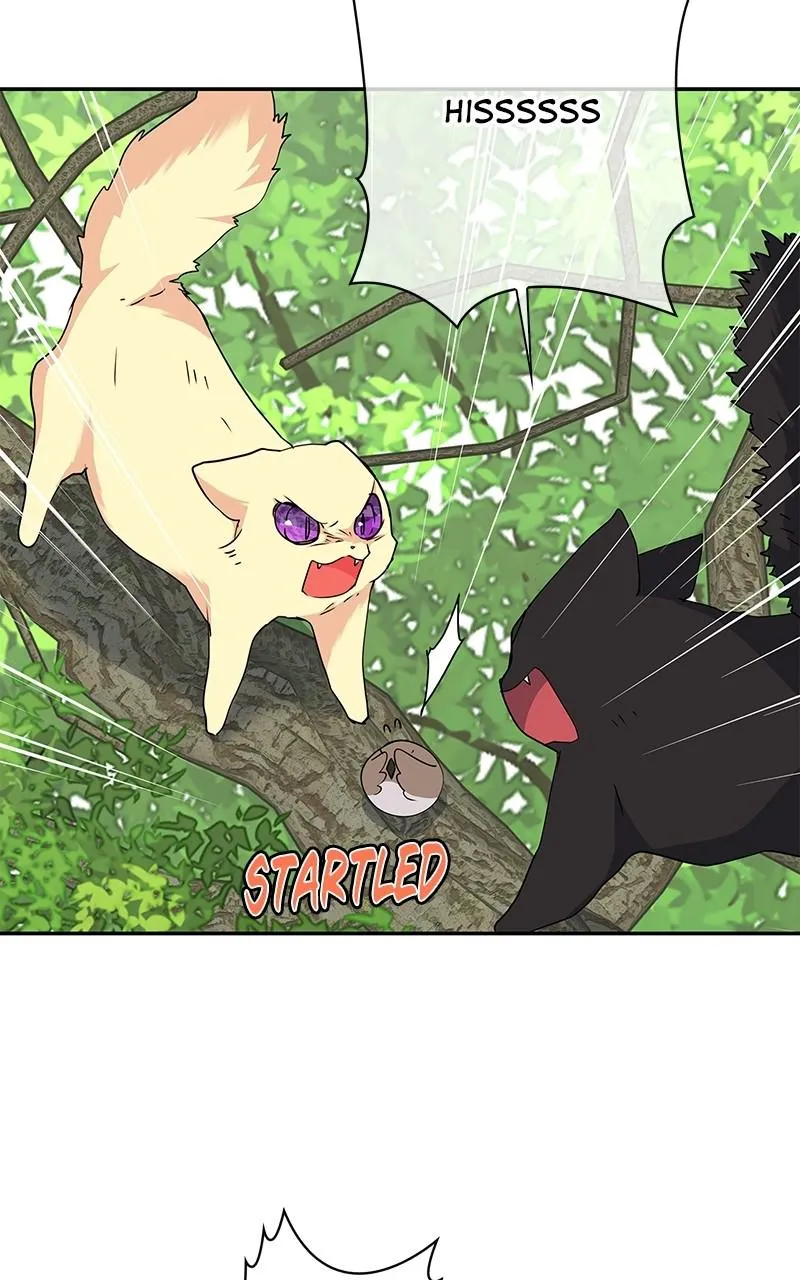 Read My Gently Raised Beast (en) Manga Online