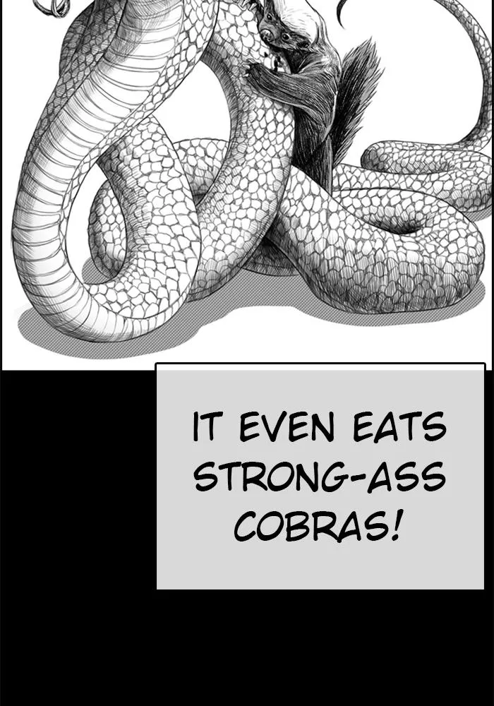Read My Life as a Loser (en) Manga Online